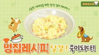 내새꾸를 위한 초간단 레시피! 달걀죽 5분 뚝딱 가능 | dog food recipes | 멍집레시피