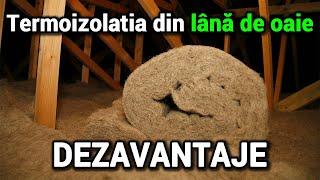 Termoizolatia din lana de oaie – Dezavantaje