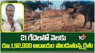 21 గేదెలతో నెలకు రూ.1,92,000 ఆదాయం పొందుతున్న రైతు | Matti Manishi | Dairy Farming | 10TV