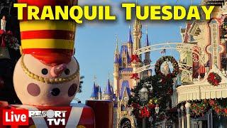 Live: Tranquil Tuesday - A Magic Kingdom Holiday Afternoon - Walt Disney World Live Stream