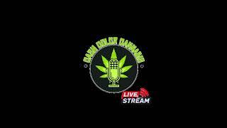 Cashcolorcannabis Podcast 