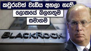 BlackRock Case Study | The Story Of The World's Most Powerful Company | Simplebooks