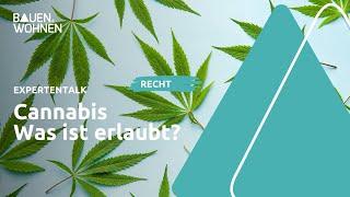 Hanf im Glück: Cannabis Legalisierung I BAUEN & WOHNEN