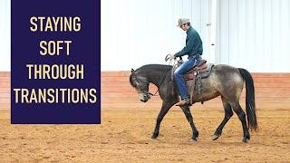 Upward Transitions - Helping a horse that raises it's head during transitions