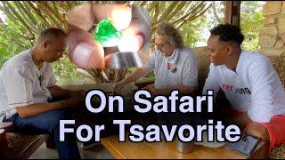 Episode 11: On Safari For Tsavorite!