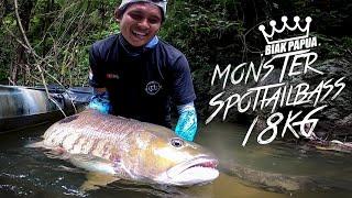 Monster Sungai Papua SPOTTAIL BASS 18KG. | Ikan sungai terbesar yang pernah saya dapat.  #68