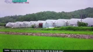 6시내고향 백경천유기농살구