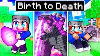 BIRTH to DEATH of a GODZILLA in Minecraft!