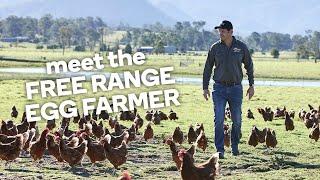 Meet the free range egg farmer - Fresh stories from the farm