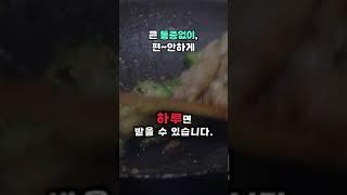 15초만 집중! 아픈 치아, 이제 전체임플란트로 빠르게 해결해보세요! #전체임플란트 #임플란트 #치과 #치아건강 #임플란트치과 #치과추천 #shorts