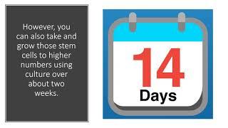 What’s the Difference Between a Same Day and Cultured Stem Cell Procedure