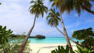 Maldives: Truly Tropical Paradise