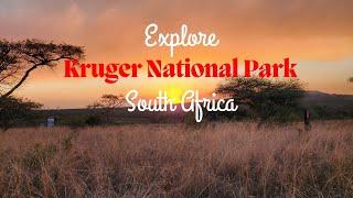 Safari Trip to Kruger National Park, South Africa