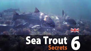 Sea Trout Secrets 6 - Fly fishing