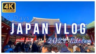 [Vlog] How I spent My 12 Day Trip to Japan 2024 Tokyo, Kyoto, Anime, Shopping.