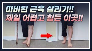 편마비 재활운동방법[뇌경색 뇌출혈 뇌졸중] 살리기 제일 어렵고 힘든 이곳!!Rehabilitation exercise method paralysis