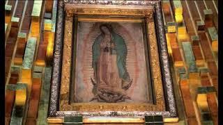 melodia manto virgen de guadalupe 10 horas