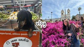 Italian vlog: una passeggiata in centro, al supermercato, un pranzo al mare a Ostia (Subtitles)