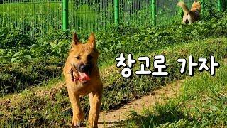 언제 이렇게 커가지고