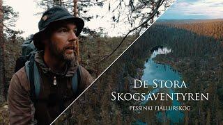 Vandring genom Pessinki | vildmark, urskog, fiske