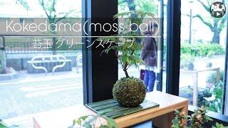 Japanese Gardening - modern plant ball - JapanMade