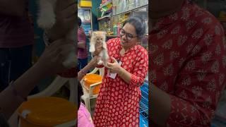 Minivlog#519|‍️Naini new pet vaangita️ |Jun23#shorts #shortsfeed #vlog #minivlog