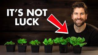 After 5 Years of Experiments, These 6 Steps Guarantee Thriving Seedlings