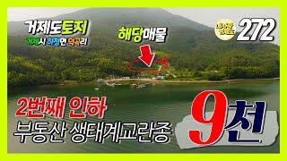 [272번-토지] 2번째 가격인하, 거제도 부동산 생태계 교란종, 200평(660m2)에 9천만원, 팔릴 때까지 내린다. 바다조망 전원주택부지 급매