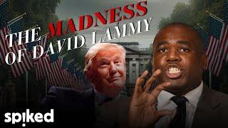 What happened to David Lammy?: A cautionary tale about Trump Derangement Syndrome