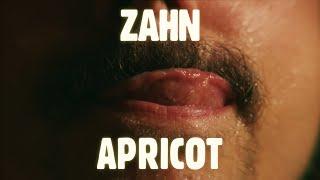 ZAHN - APRICOT (Official Video)