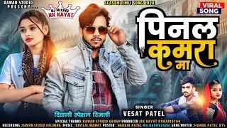 Vesat patel || पिनल कमरा मा || pinal kamra ma. Diwali season special dj timli 2024. @RAWANSTUDIO