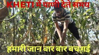 खेती में पाणी देते समय हमारी जान बारबार बचगई|kheti ke |kisan|#kisan #khetibadi #farming #agriculture