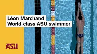 Léon Marchand: World-class ASU swimmer: Arizona State University (ASU)