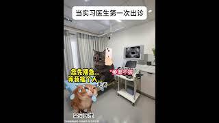 当实习医生第一次出诊 #猫meme #猫meme小剧场 #实习医生 #搞笑 #专家号  #猫meme #搞笑 #喵哥是萌新  #meme #cat #人類迷惑行為  #funny #meme猫