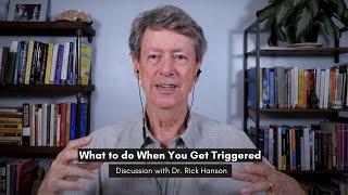 What to Do When You Get Triggered: Conversation with Dr. Rick Hanson