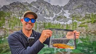 Fly Fishing an Alpine Lake Filled with Fire-bellied Trout