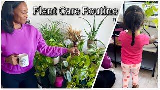 Plant Care Routine I Plant Shelf Upkeep I JerseyWifeJerseyLife