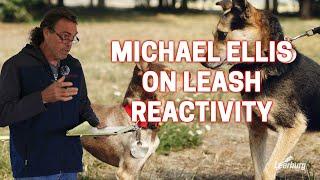 Michael Ellis on Leash Reactivity