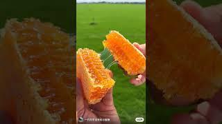 Natural honey made the tongue water️#nature #beauty #food #shortvideo