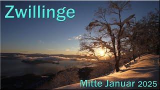  Zwillinge - Mitte Januar 2025   -  Die eigene Wahrheit  -