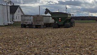 Over Drying Corn