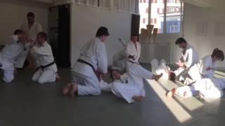 Yoshinkan Aikido - Lausanne 27.03.17 - Cours réguliers /Ippan Class