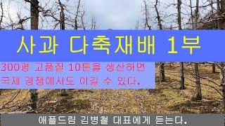 사과 다축 재배. 10톤 생산. 국제 경쟁 이길 수 있어