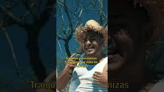 Hoy es #sabado y tengo ganas  #GerardoDiaz #ElAlbañil #Shorts #ShortsVideo #AfinArte