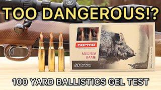 308 Winchester Norma TIPSTRIKE! Ballistics Gel Ammo Test