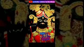 बांके बिहारी जी के साक्षात चमत्कार के दर्शन #shorts #shortvideo #bankebihari #vrindavan #darshan