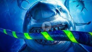 who's destroying undersea internet cable  | amazing facts  |  universal TV  |. Facts