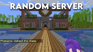 Joining RANDOM Minecraft Servers