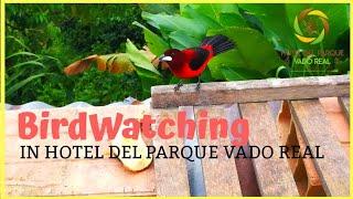 HOTEL DEL PARQUE VADO REAL | Birdwatching 2018.