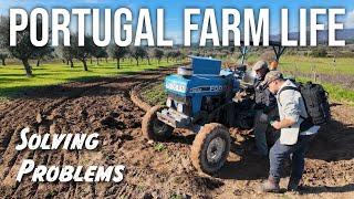 Planting Crops on the Farm - PORTUGAL FARM LIFE